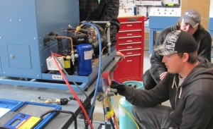 Try before you buy apprenticeships
